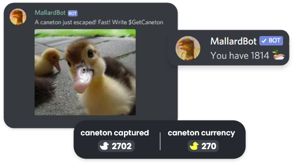 mallard bot features